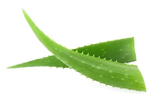 brand Fungeent brand contiene Aloe Vera